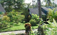 Garden of the Apart-Hotel LAS PALMAS - Las Terrenas - Dominican Republic